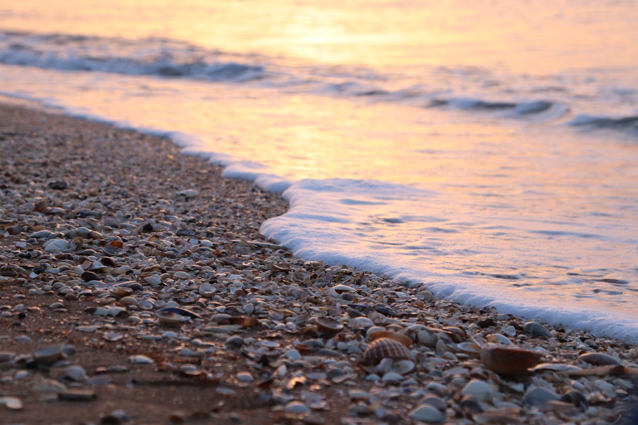 almadira-profumi-conchiglie-spiaggia-tramonto